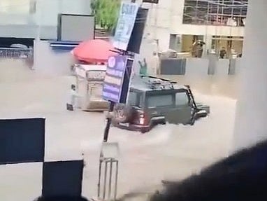 X/@biosagain : A 'Thar' can be seen in a viral video wading through rainwater accumulated outside the coaching centre in question, leading to the collapse of its gates 